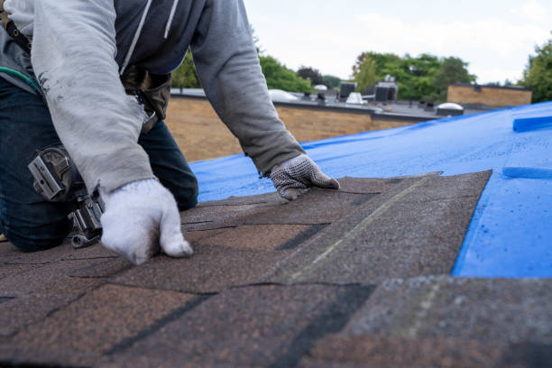 Fast & Reliable Emergency Roof Repairs in Wolf Creek, UT